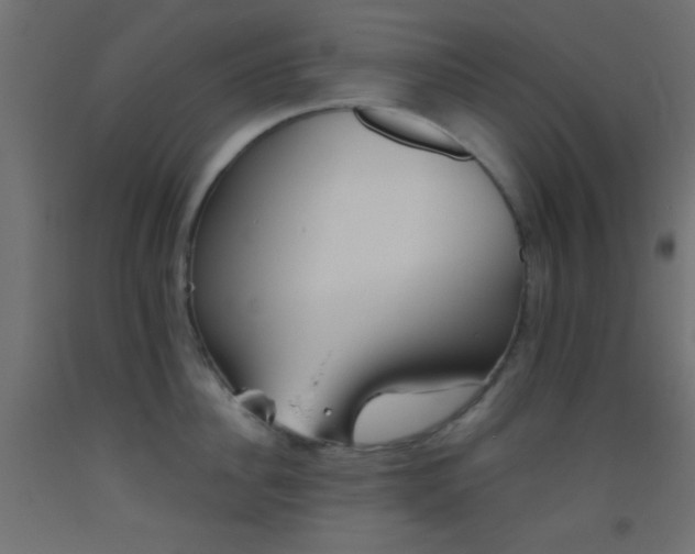 X0000093520956200710121542