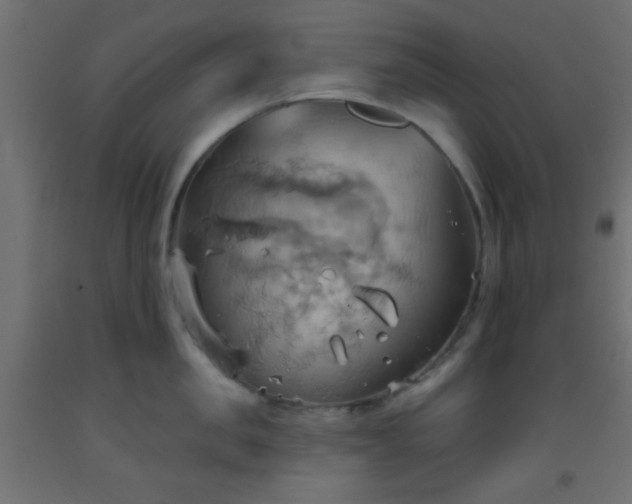 X0000093520957200710121542