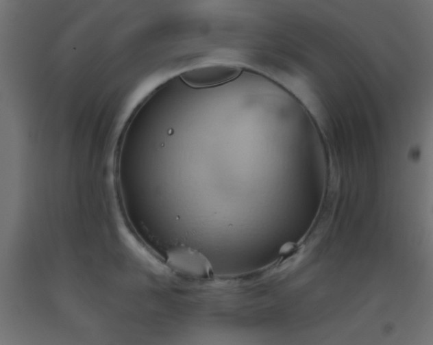 X0000093520958200710121542