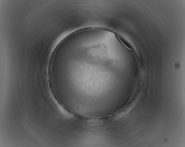 X0000093520959200710121542