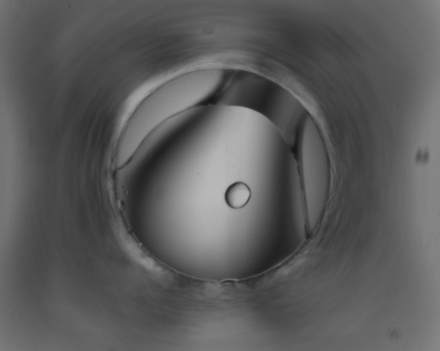 X0000093520960200710121542