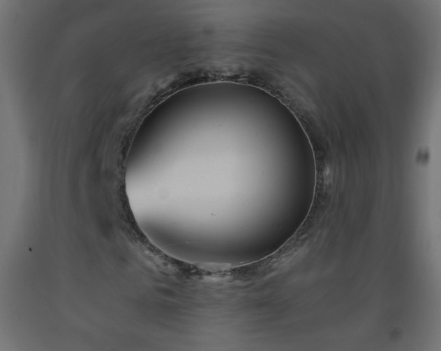 X0000093520961200710121541