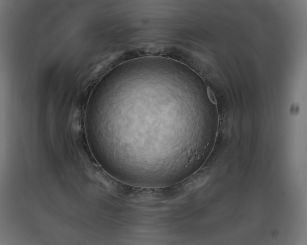 X0000093520962200710121541