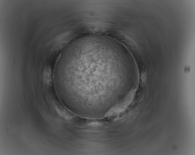 X0000093520963200710121541