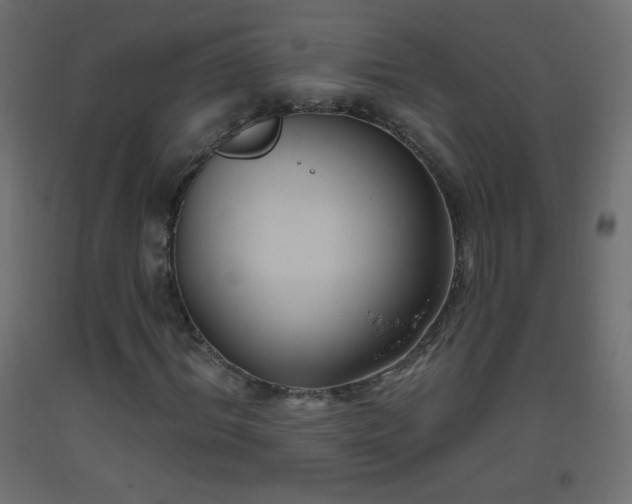 X0000093520964200710121541