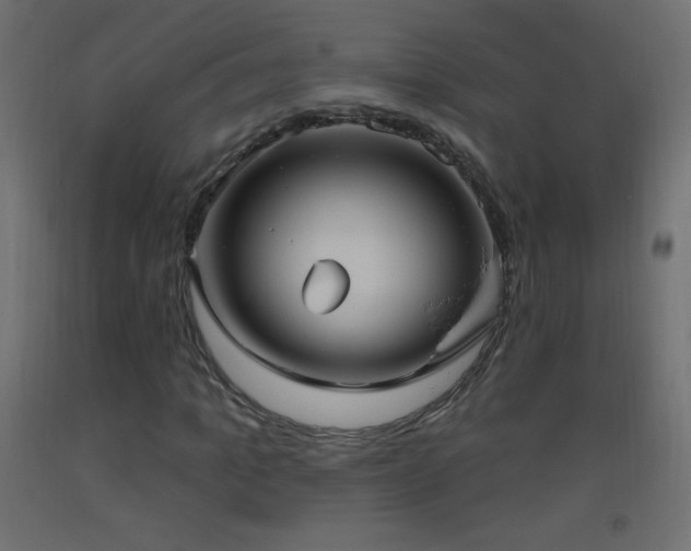 X0000093520965200710121541
