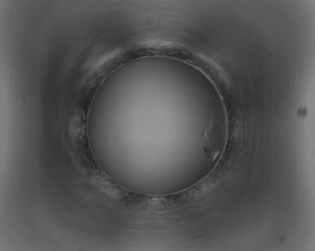 X0000093520966200710121541