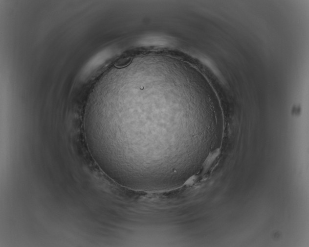 X0000093520967200710121541