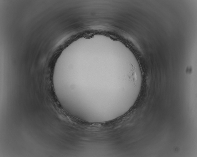X0000093520968200710121541