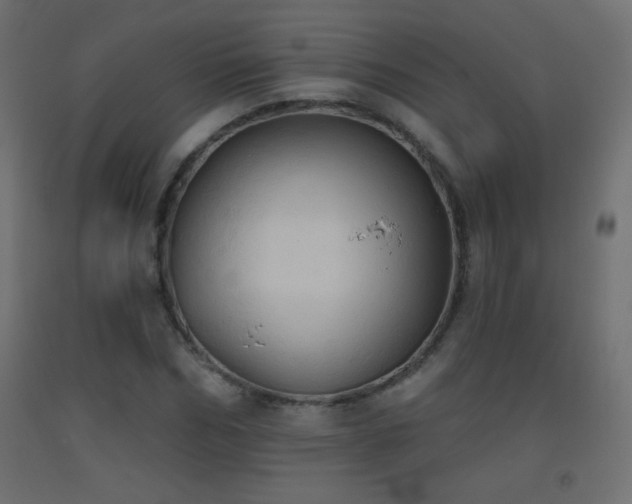 X0000093520970200710121541