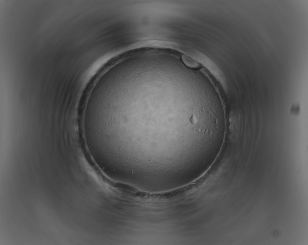 X0000093520972200710121541