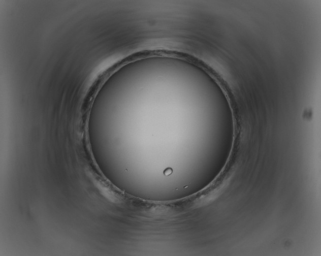 X0000093520974200710121541