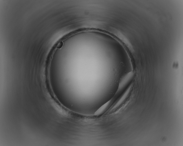 X0000093520976200710121541