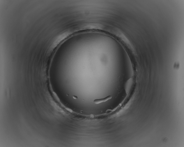 X0000093520977200710121541