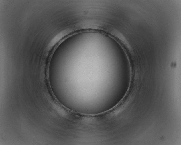 X0000093520978200710121541