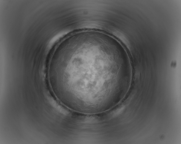 X0000093520979200710121541