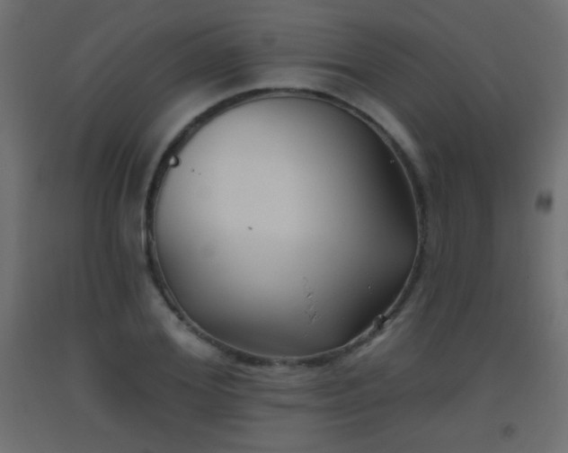 X0000093520980200710121541