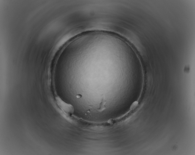 X0000093520982200710121541