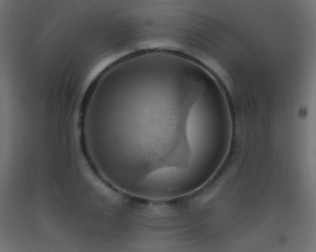 X0000093520983200710121541