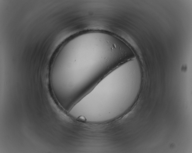 X0000093520984200710121541
