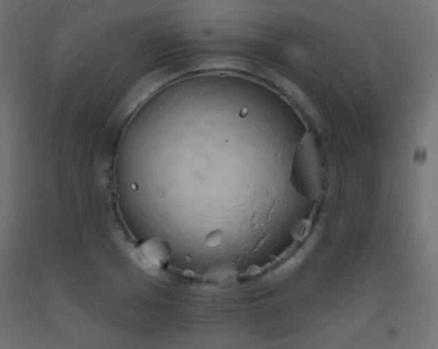 X0000093520985200710121541