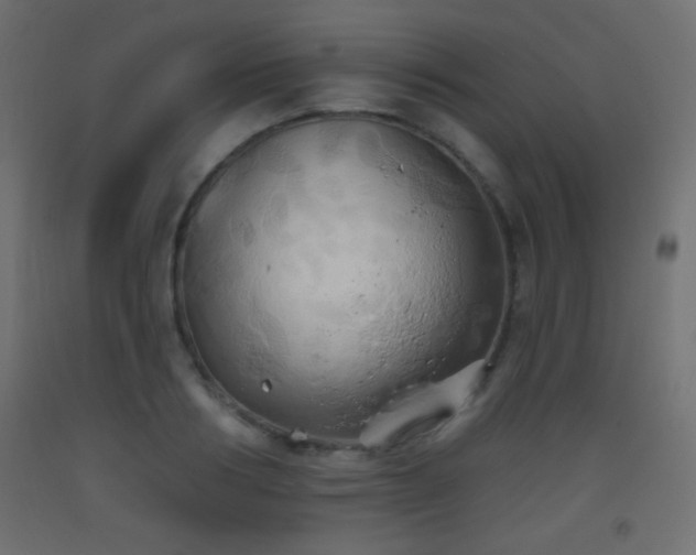 X0000093520986200710121541