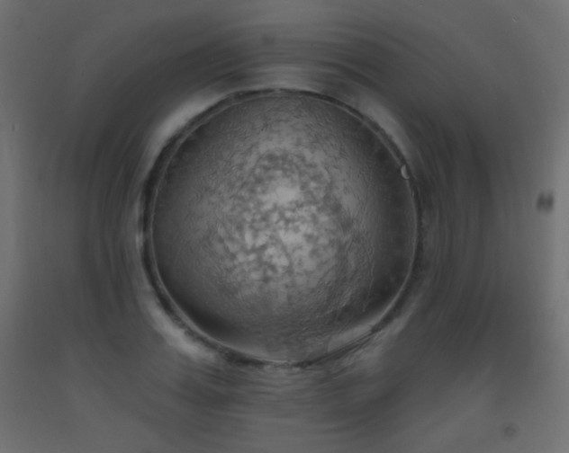 X0000093520987200710121541