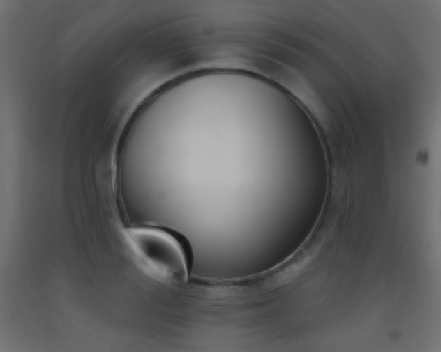 X0000093520988200710121541
