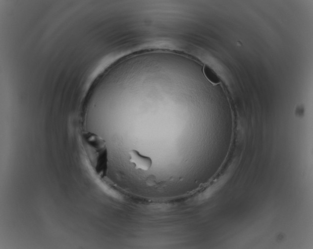 X0000093520989200710121541