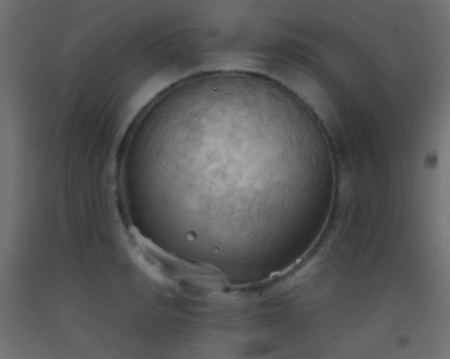 X0000093520990200710121541