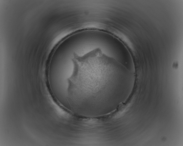 X0000093520991200710121541