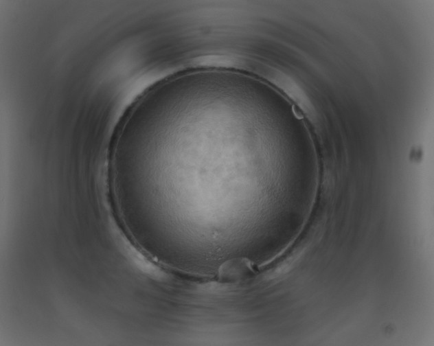X0000093520992200710121541