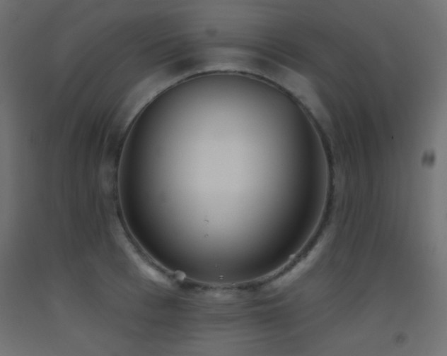 X0000093520993200710121541