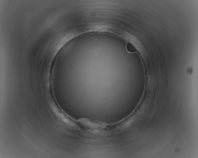 X0000093520994200710121541