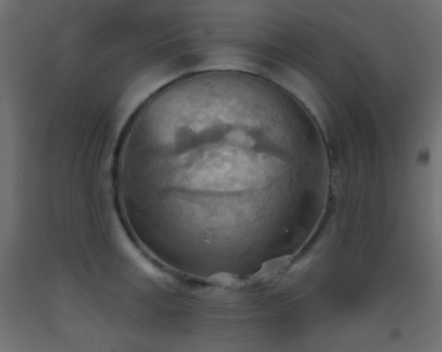 X0000093520995200710121541