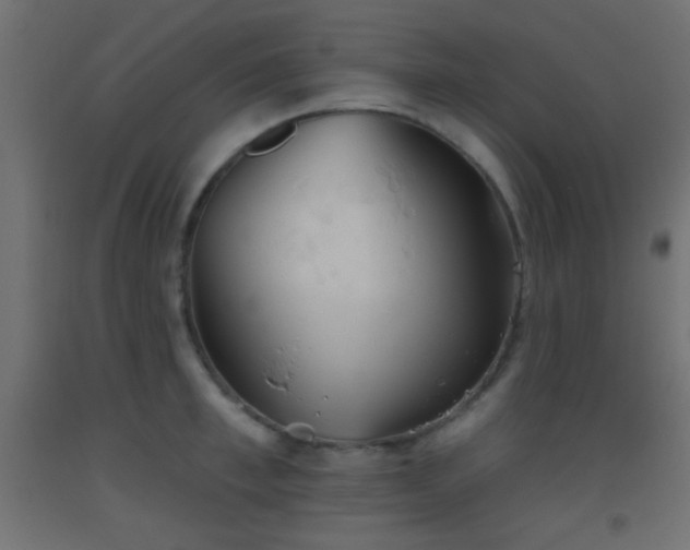 X0000093520997200710121541
