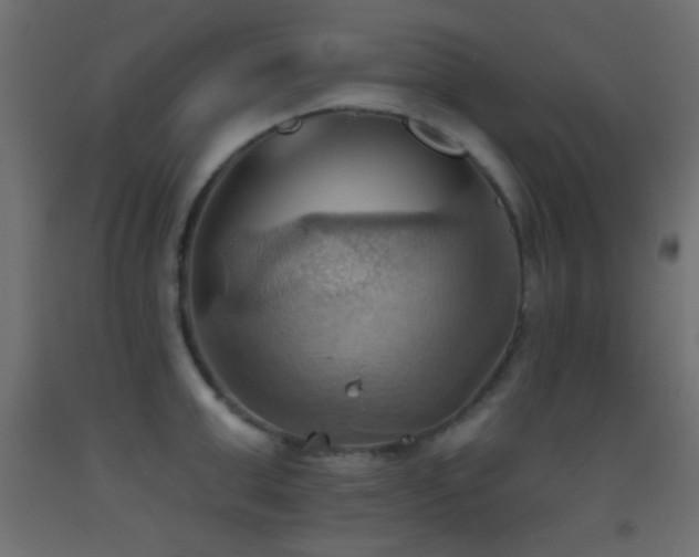 X0000093520999200710121541