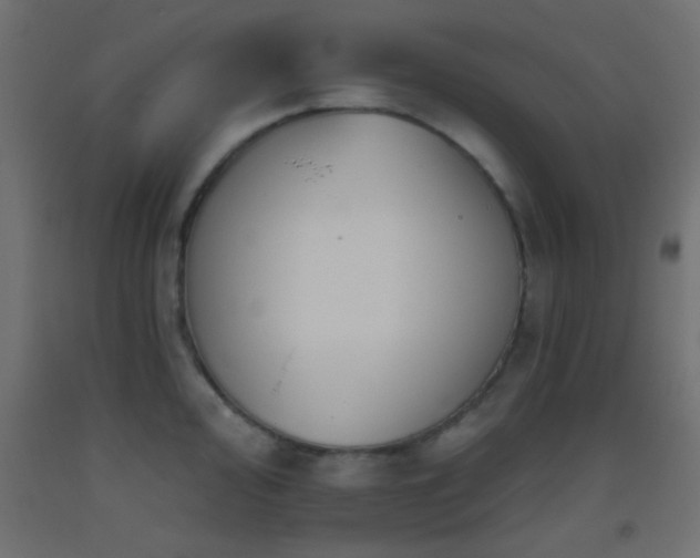 X0000093521000200710121541