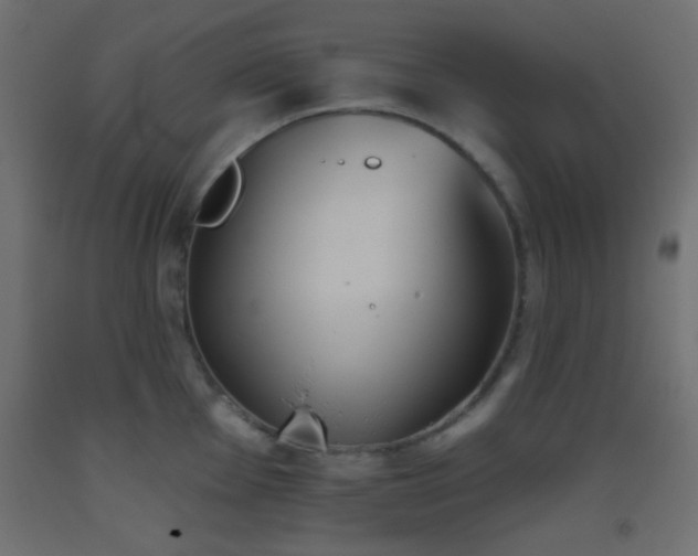 X0000093521001200710121541