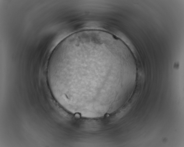 X0000093521002200710121541