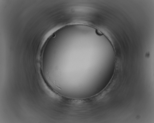 X0000093521003200710121541