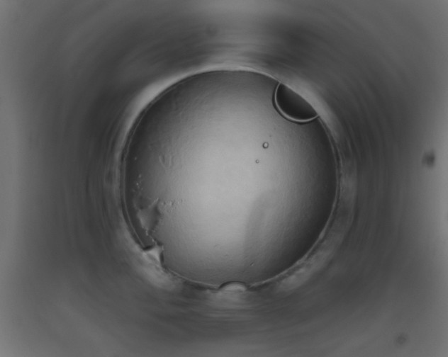 X0000093521004200710121541