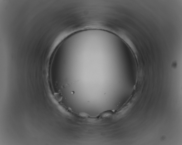 X0000093521005200710121541