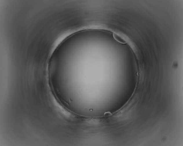 X0000093521006200710121541