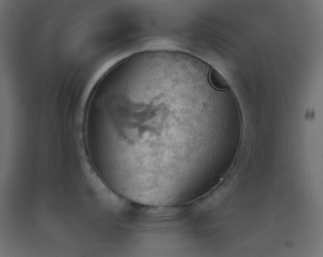 X0000093521008200710121541