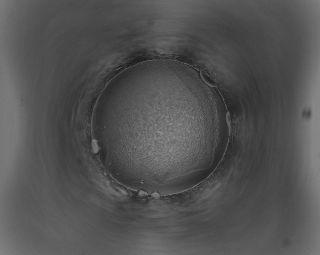 X0000093521009200710121540
