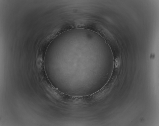 X0000093521011200710121540