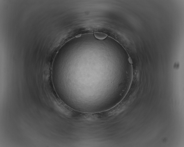X0000093521012200710121540