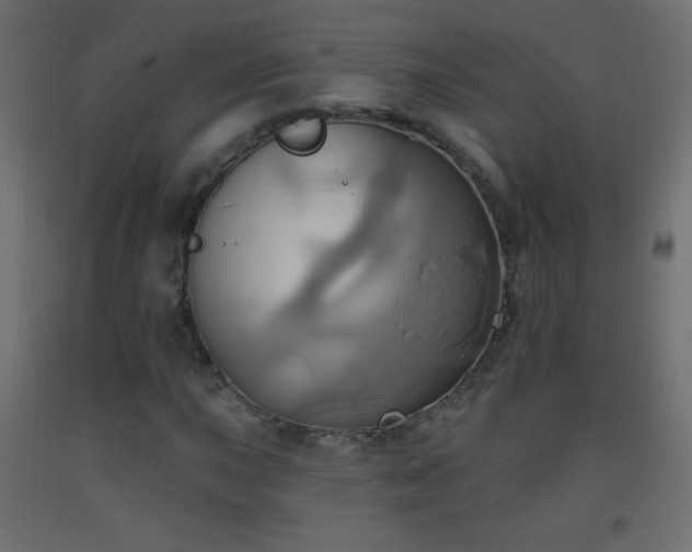 X0000093521015200710121540