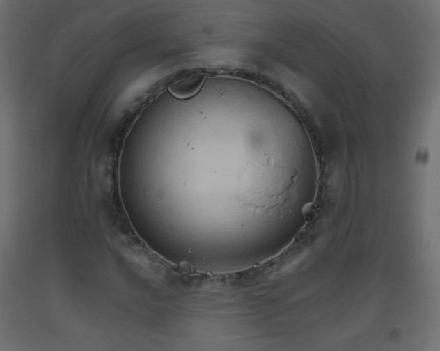 X0000093521016200710121540